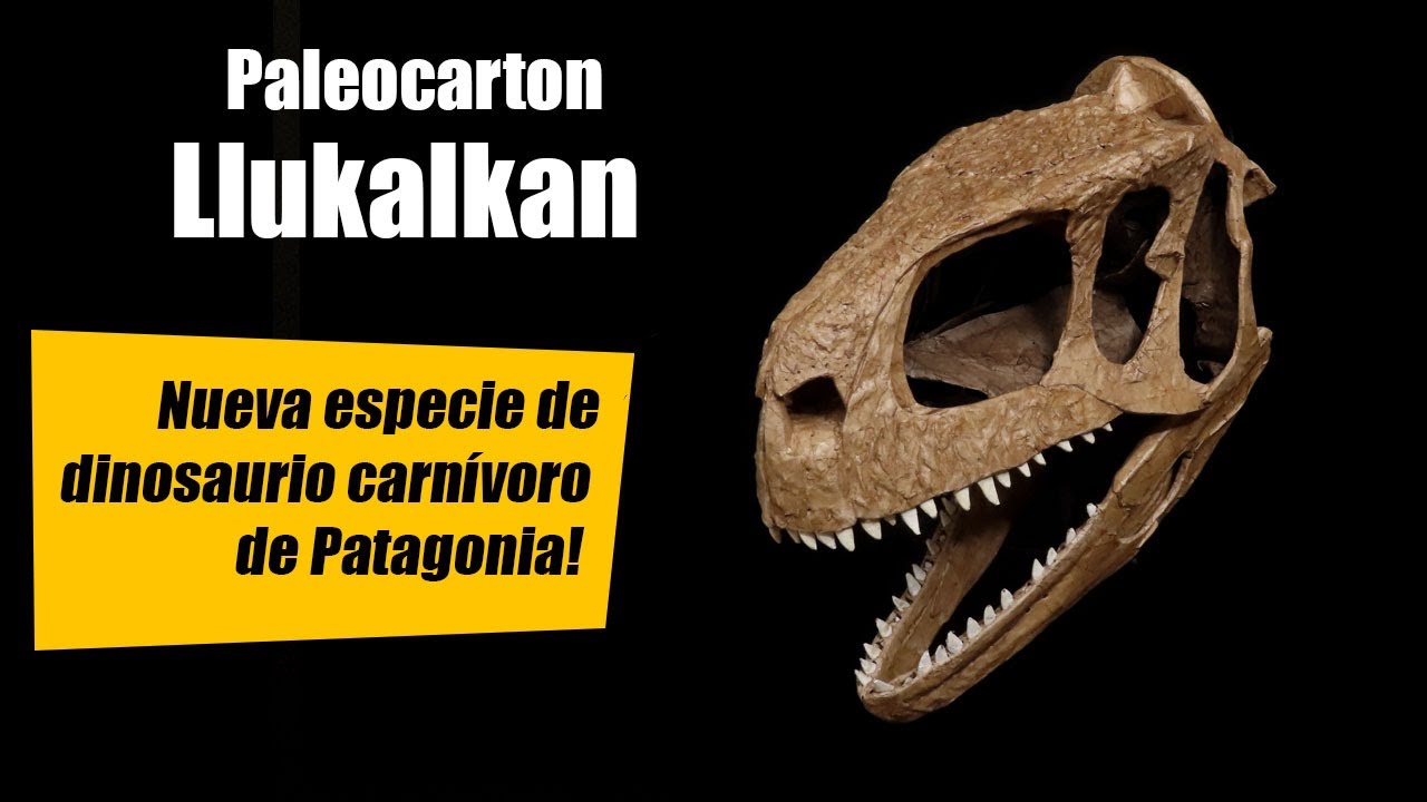 Llukalkan - Paleocarton - nueva especie de dinosaurio carnívoro de Patagonia