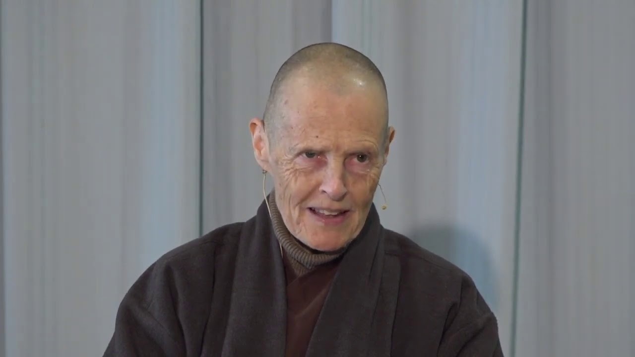 Right View: Understanding the Roots of Our True Happiness | Dharma talk by Sr Chân Đức, 2020 11 01