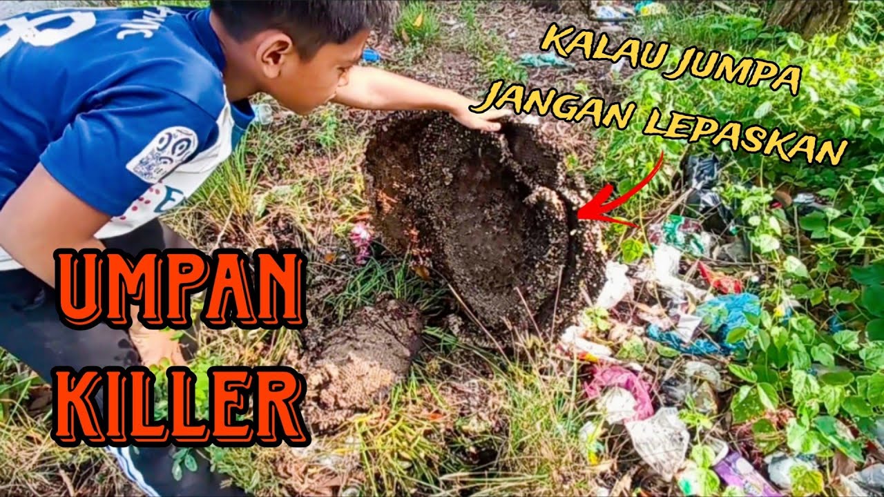 #EP961 Jackpot! Terjumpa Umpan Killer Puyu - tahan bubu spring dan mancing puyu