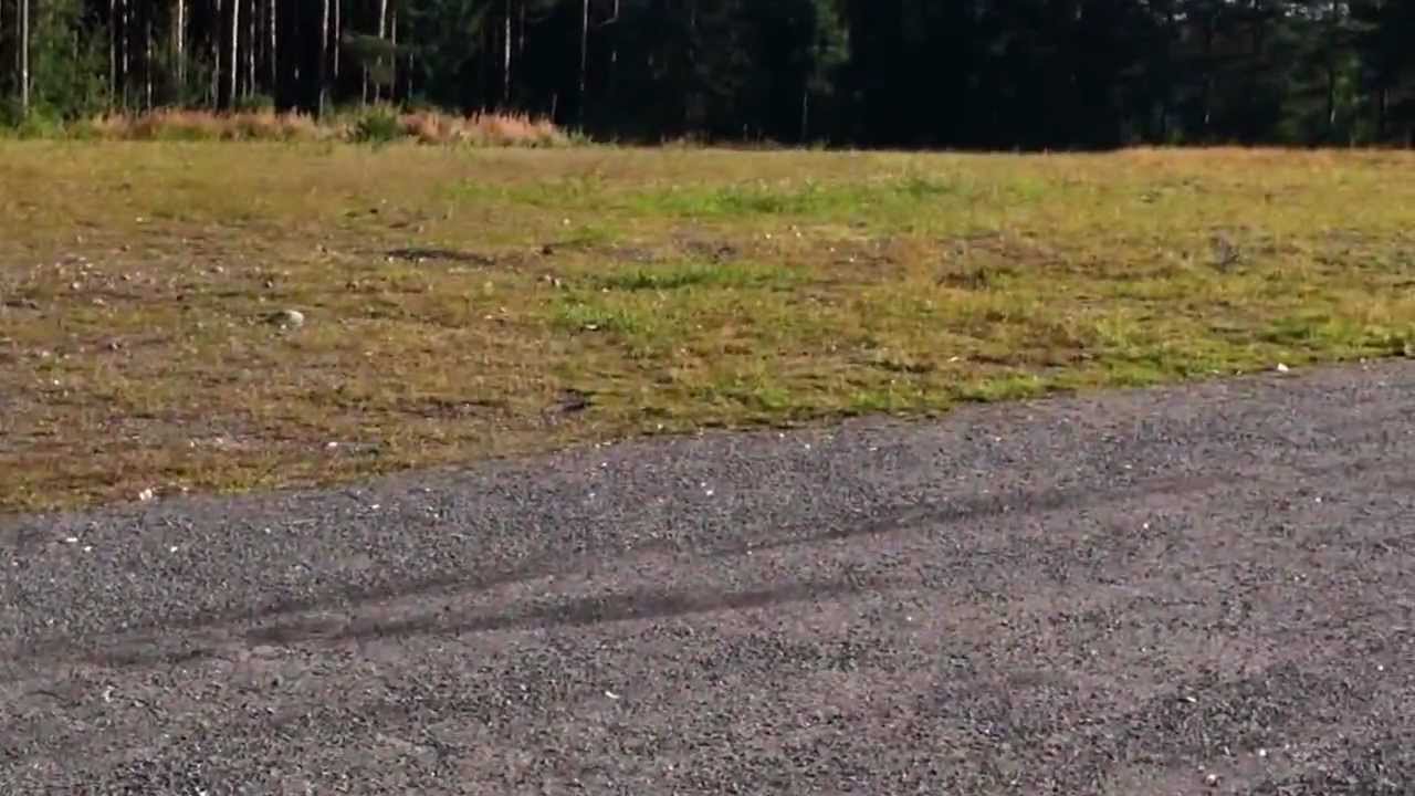 tarvasjoki