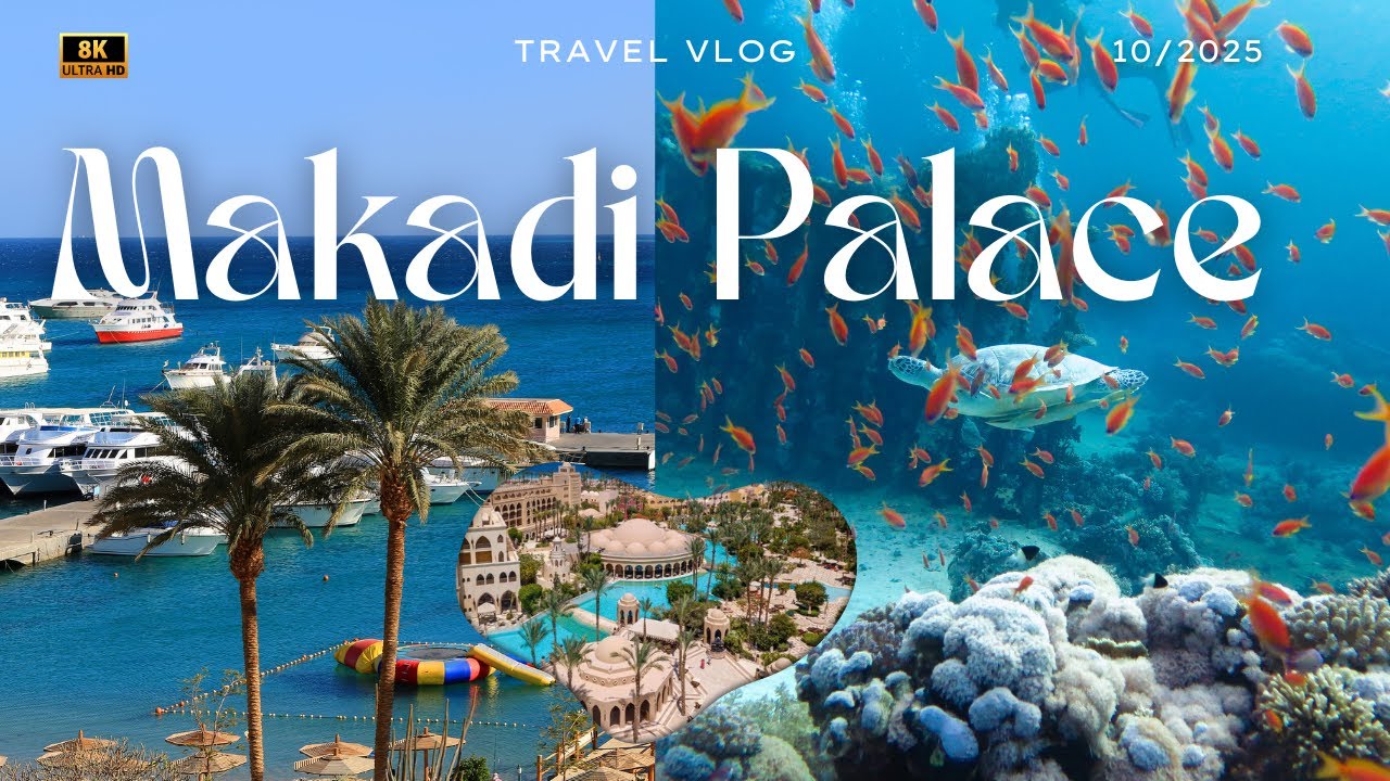 Makadi Palace 10-2025 | Sonne Strand, Safari & Schnorcheln,  – Delfine & Action zum Mini-Preis!