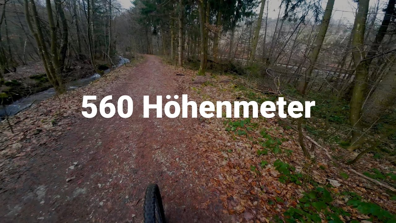 Flowtrail Feldberg Taunus Januar 2024 MTB