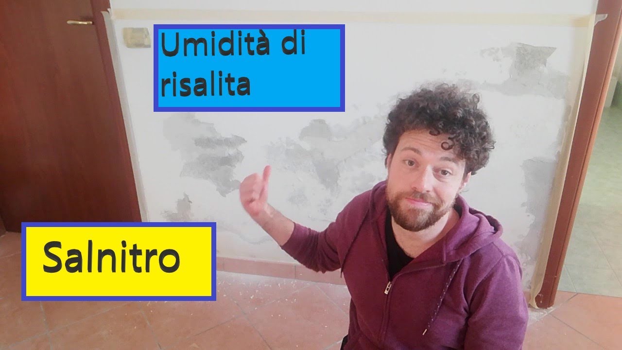Come risanare un muro affetto  da umidità di risalita e da salnitro(muffa bianca)
