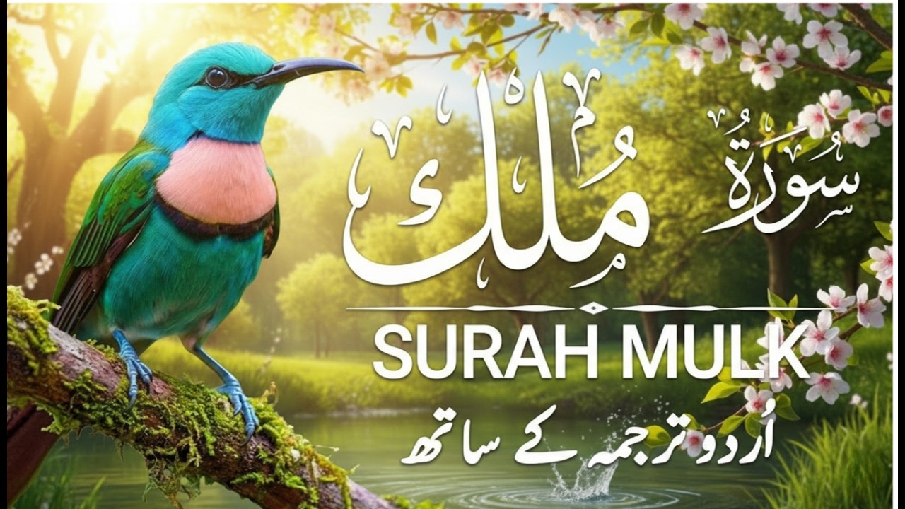 Surah Al-Mulk سورة الملك | Heart-Calming Recitation for Protection, & Night Blessings #surahmulk