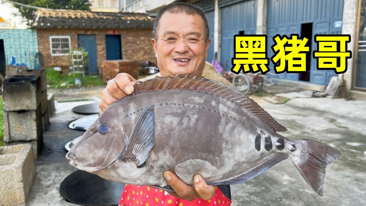 可遇不可求的“黑豬哥魚”，阿胖山花1180元拿下，嘗第壹口就被驚豔