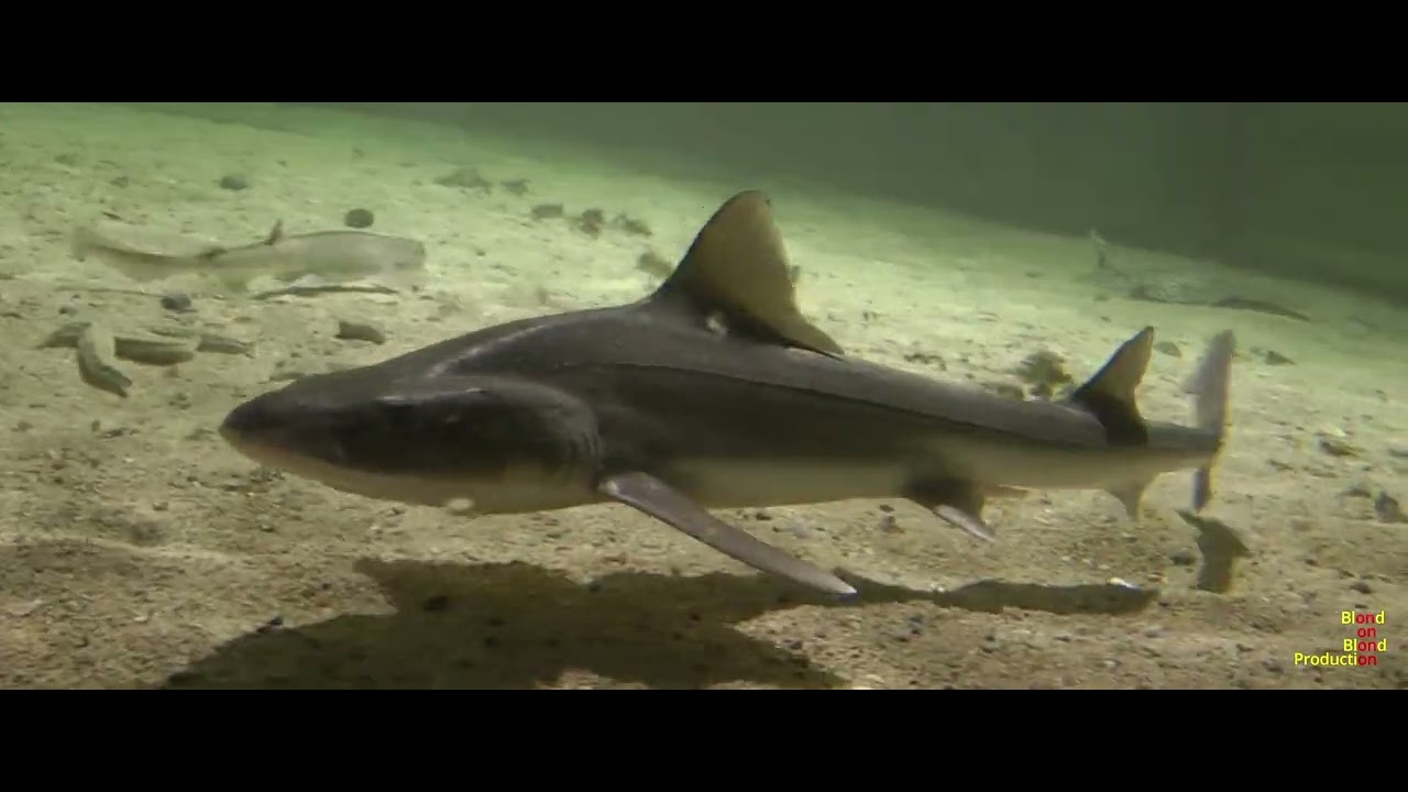 What lies beneath
