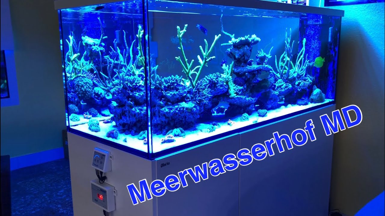 aquabee Technik im Einsatz beim Meerwasserhof Magdeburg