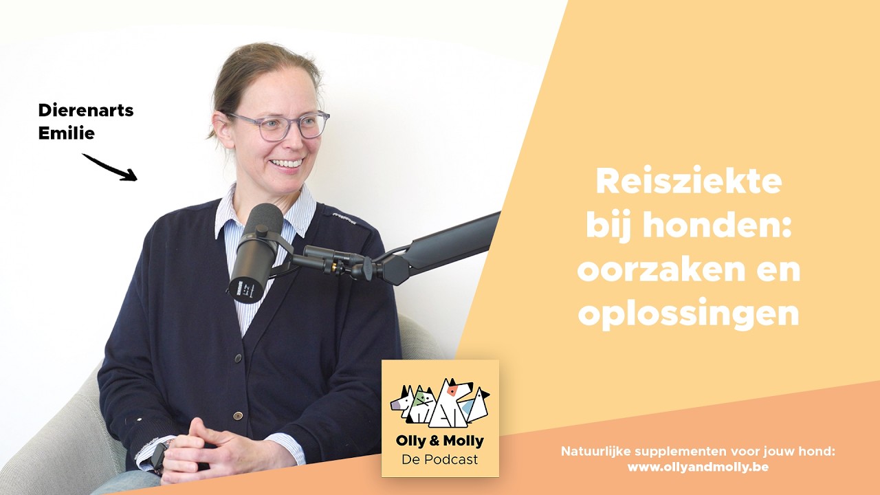 Reisziekte bij honden | Olly & Molly - De podcast