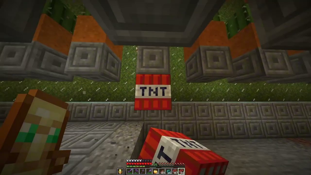 MC KNT LV | Sexter Morgan Cactus Farm