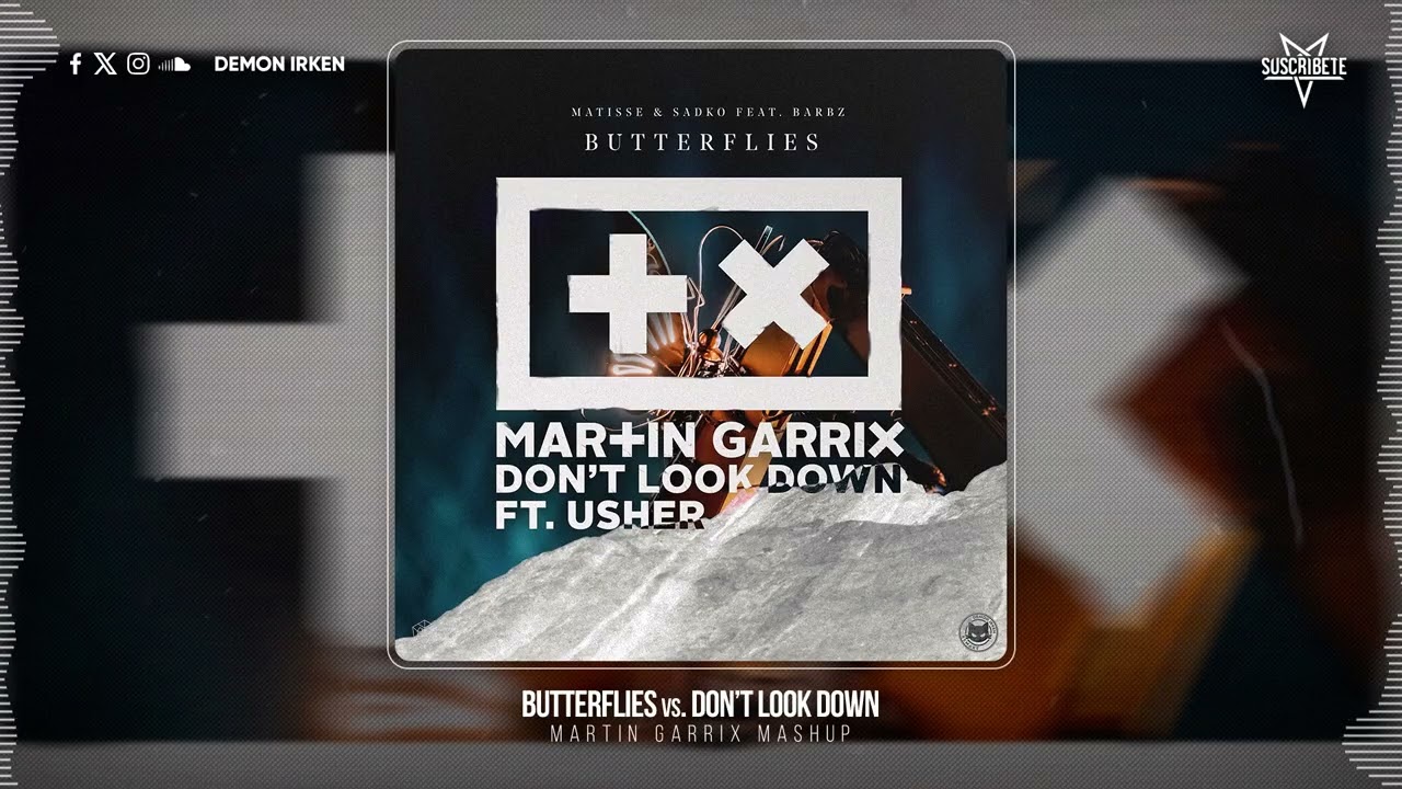 Butterflies vs. Don't Look Down (Martin Garrix Mashup) (TML '25 Version)