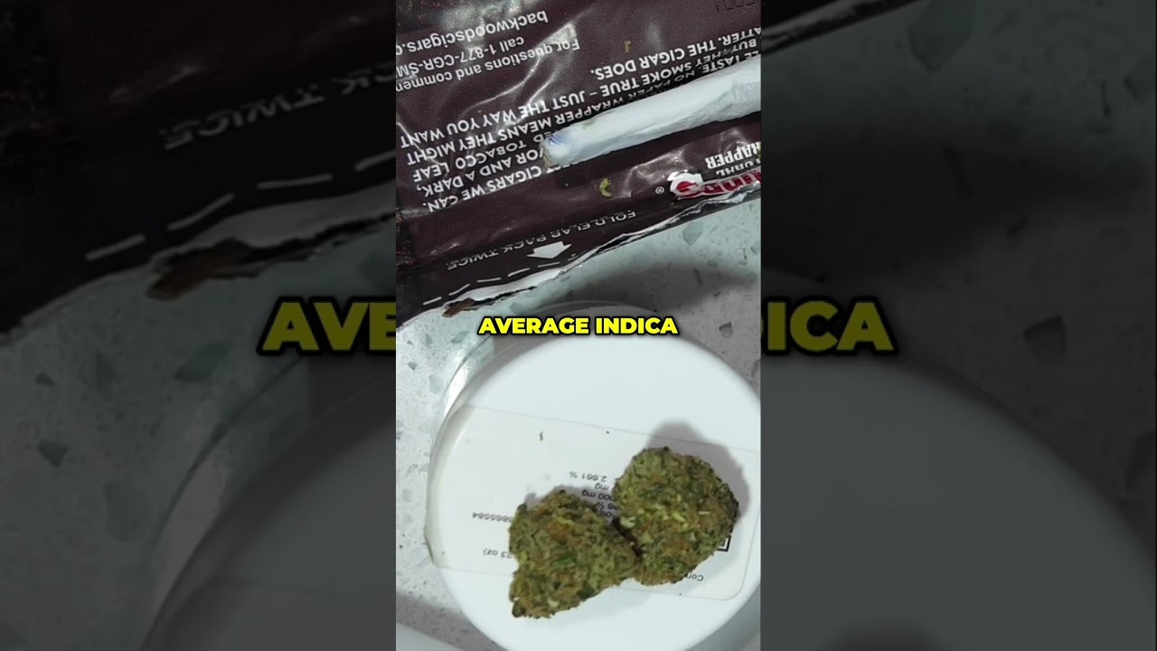 Shipwreck Strain: Grow Tips and Challenges