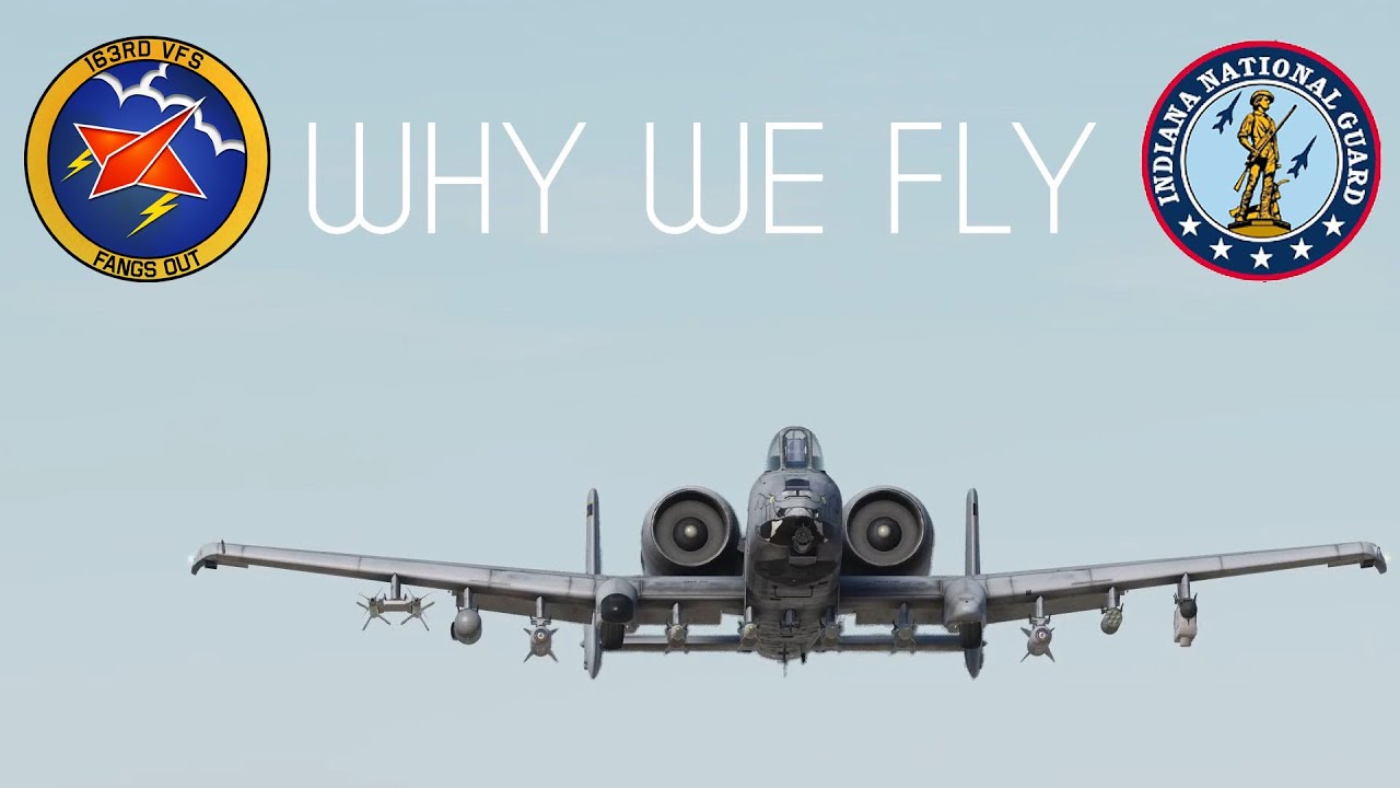 163rd vFighter Squadron 