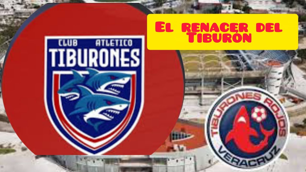 Los tiburones regresan al fútbol profesional 