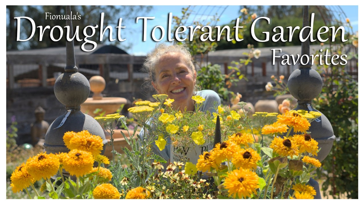 Thriving in Sunshine: Drought-Tolerant Favorites for a Delightful, Resilient Oasis! ☀️🌻 #zone9b
