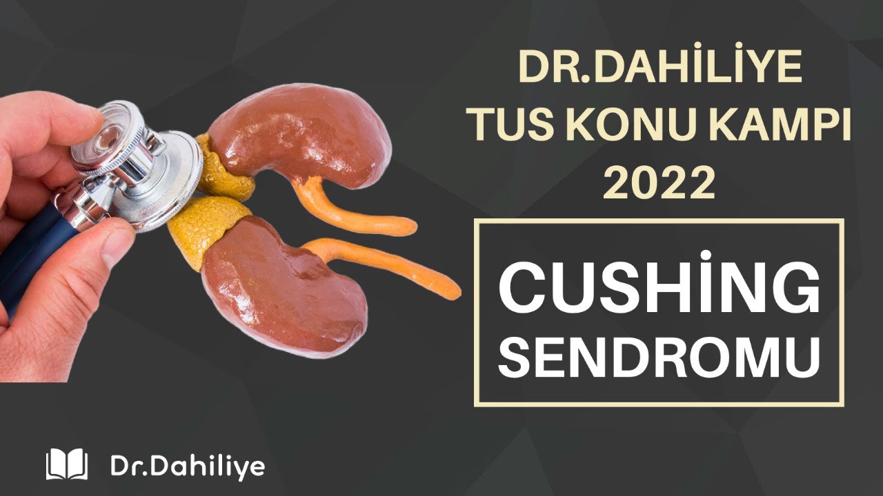 Cushing Sendromu 2022 - Dr.Dahiliye Konu Kampı Örnek Video (En Güncel ve Değişen Bilgiler)