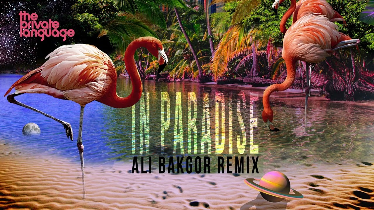 The Private Language - In Paradise (Ali Bakgor Remix)