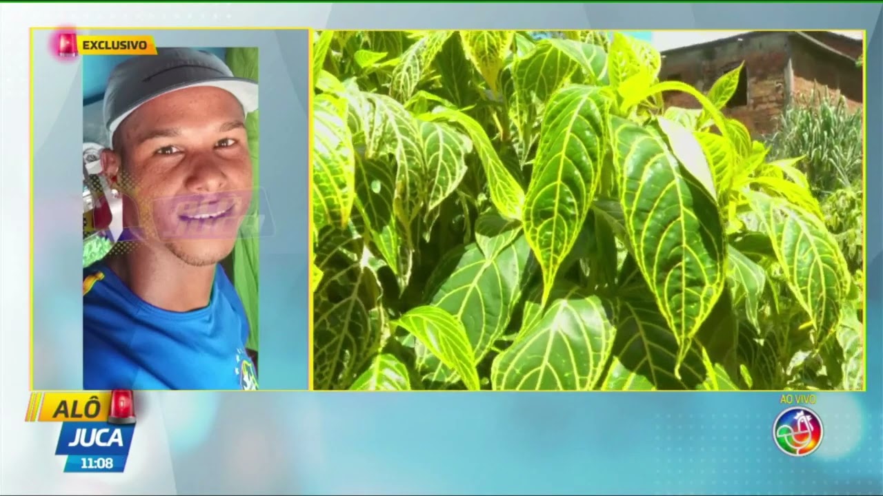 Caso Zezinho:  Corpo encontrado na mata da Vila Canária