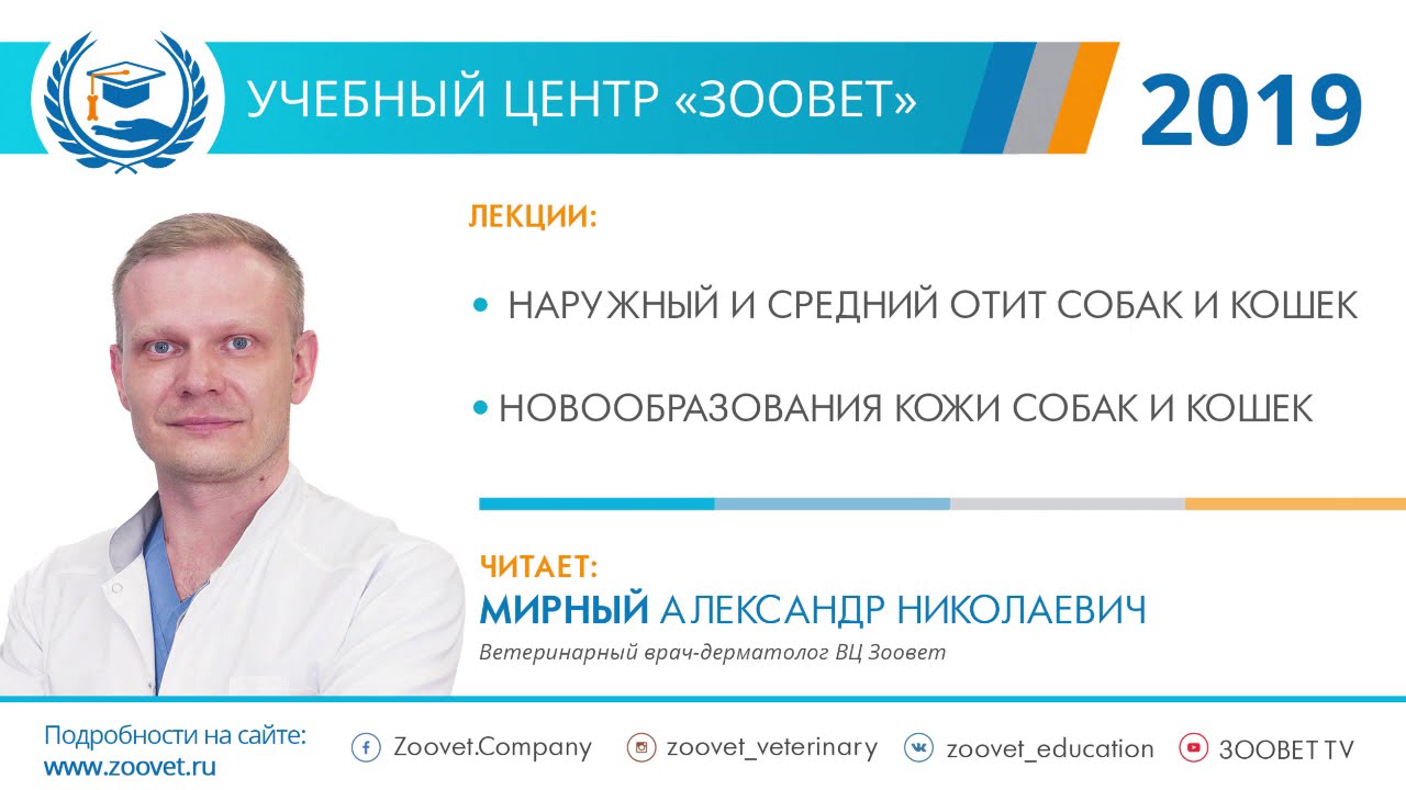 А. Н. Мирный в УЦ «Зоовет» | Отит собак и кошек, новообразования кожи, ч. 1