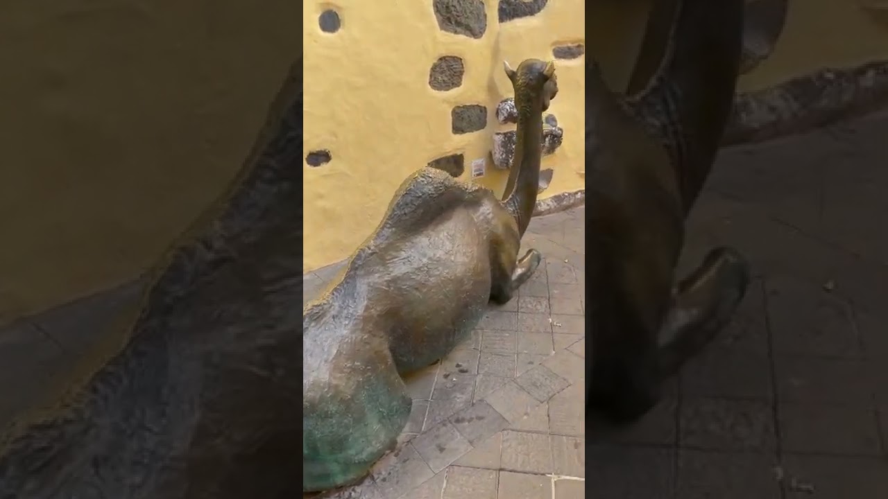 Ag&uuml;imes , Gran Canaria Spain