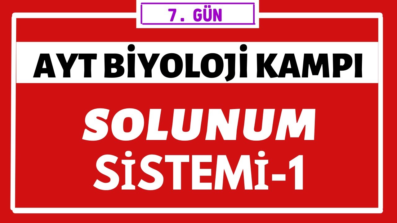 Solunum Sistemi 1 | AYT BİYOLOJİ KAMPI | 7.gün |