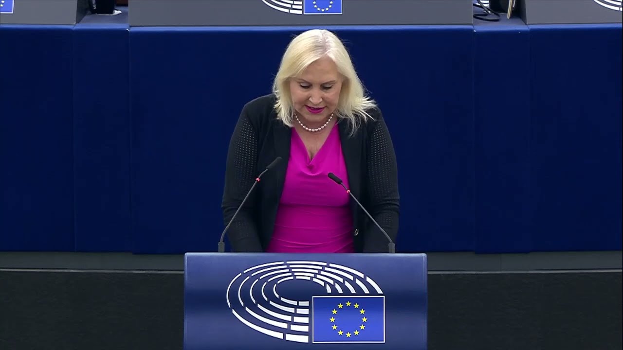 Plenarrede Vorbereitung des Treffen des Europ&auml;ischen Rates - Asyl und Migration
