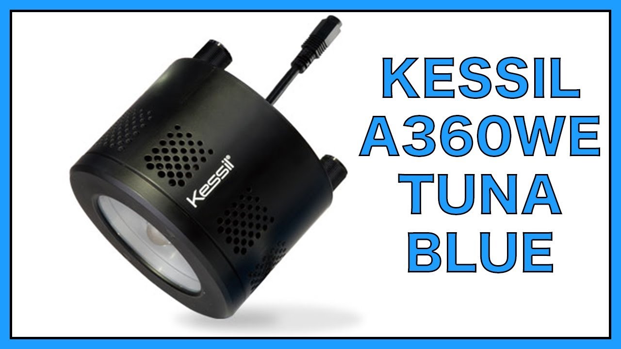 Kessil University- A360WE Tuna Blue