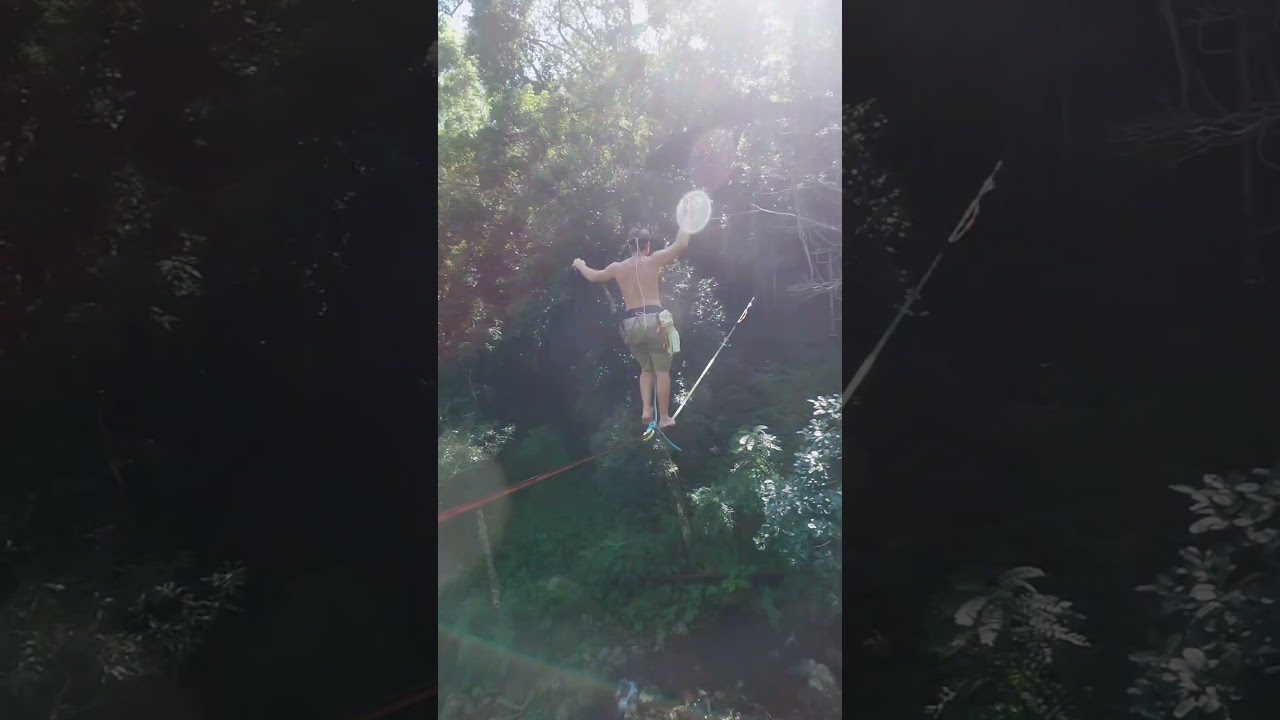 Fpv slacking in the trees