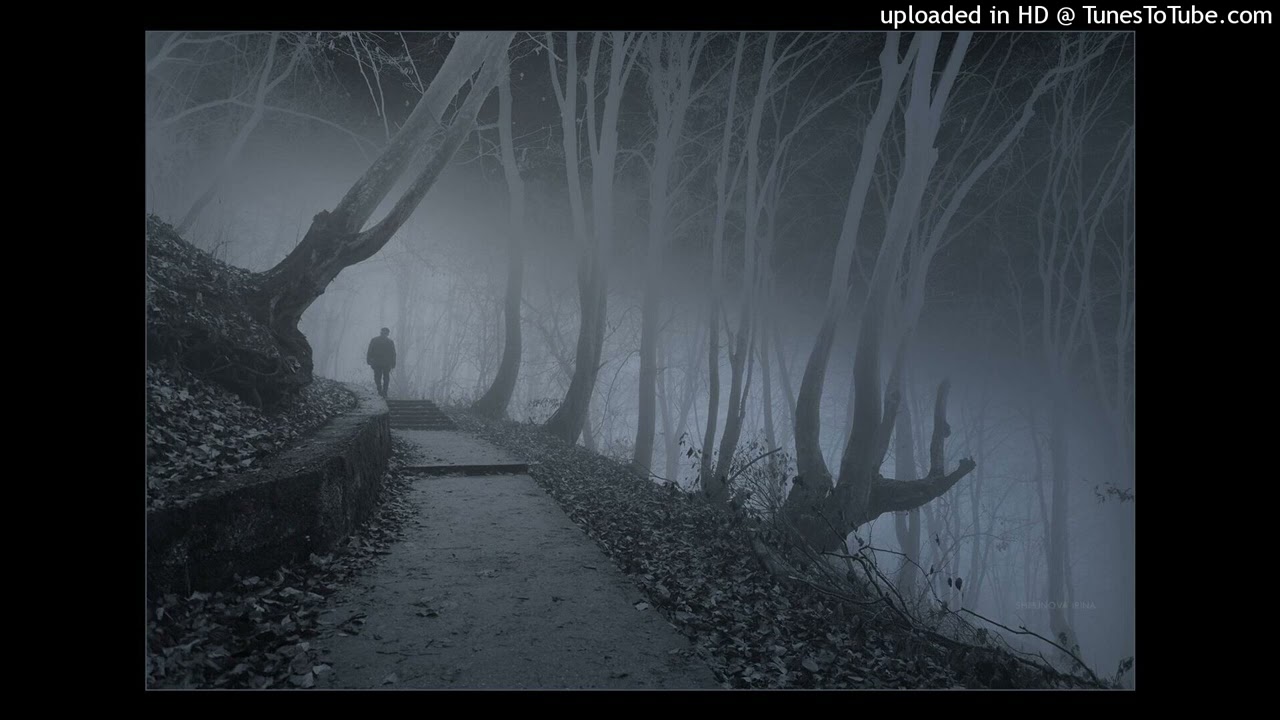 d1shonorable + gyo + boost + ambient shed theory type beat (p. souljuhed)
