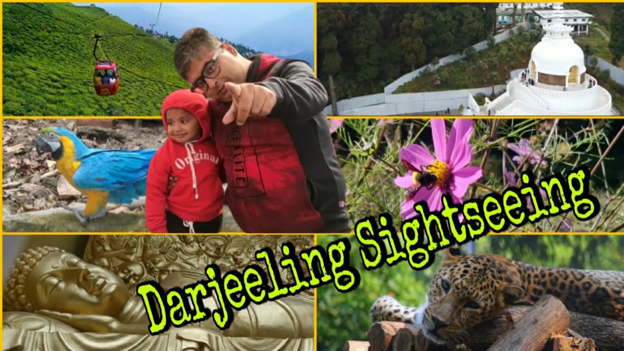 Darjeeling Sightseeing || Keventer's || Batasia Loop || Ropeway || Darjeeling Zoo || DHR