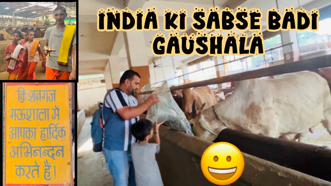 DELHI KISHAN GANJ GAUSHALA 🐮🐄😊 | Sabse Badi GAUSHALA  Delhi Kishan Ganj | Must Watch🙏🏻😊