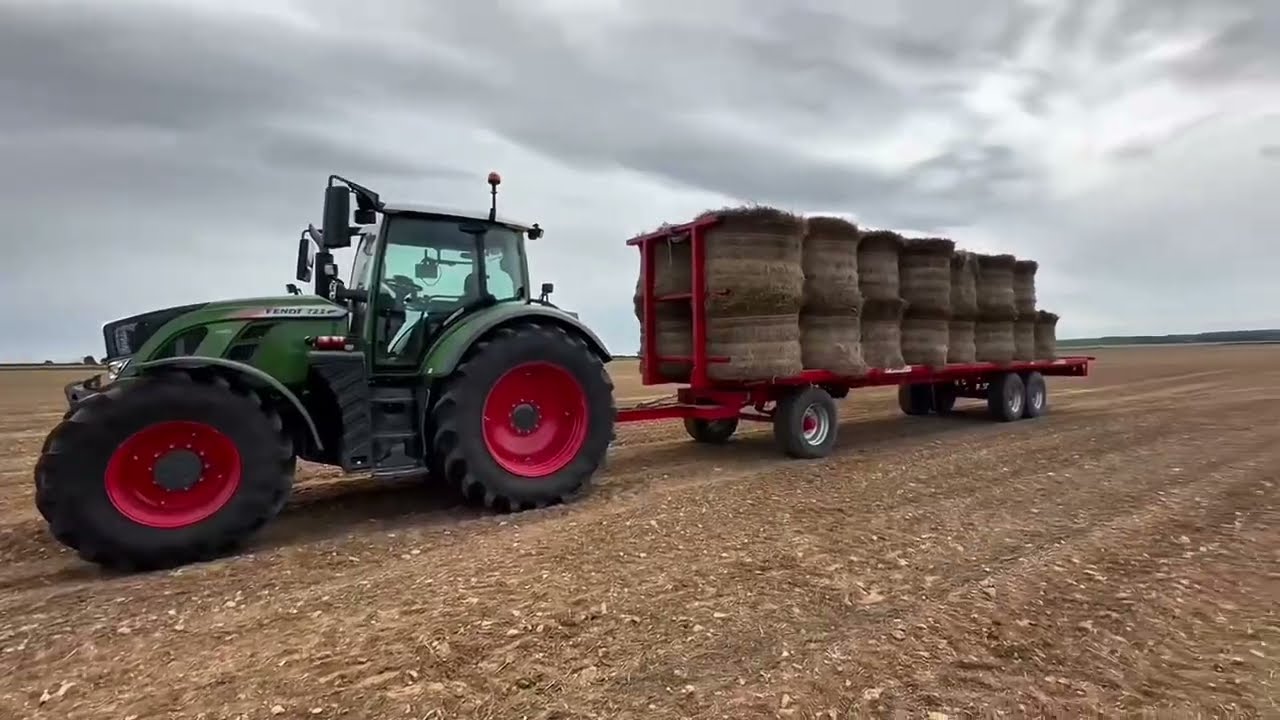 Récolte du lin d’hiver 2025
