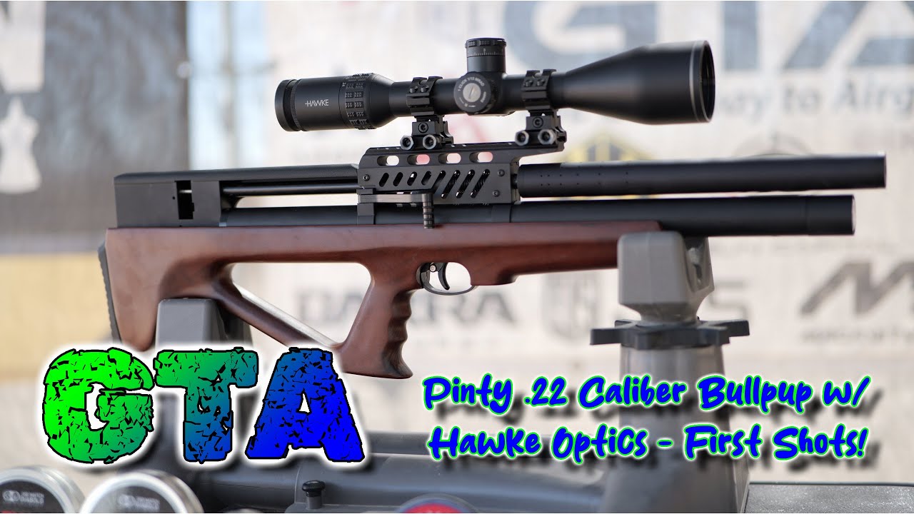 ПЕРВЫЕ ВЫСТРЕЛЫ из винтовки PINTY .22 Cal Bullpup с оптикой Hawke — базовое тестирование пули на ...
