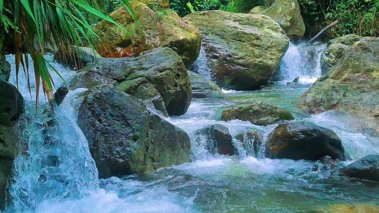 Peaceful Moonlit River – Soft Flowing Water Sounds to Calm the Mind and Sleep Well