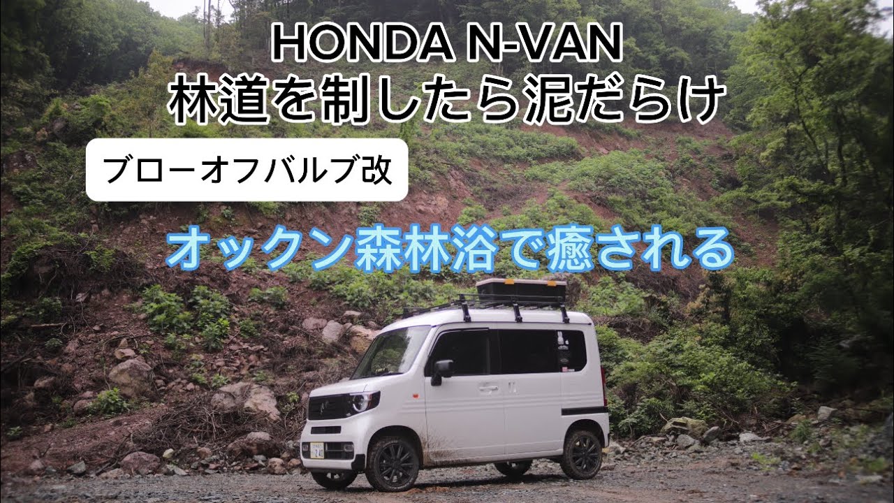N-VANオックン林道を攻める　大分県由布市男池で森林浴
