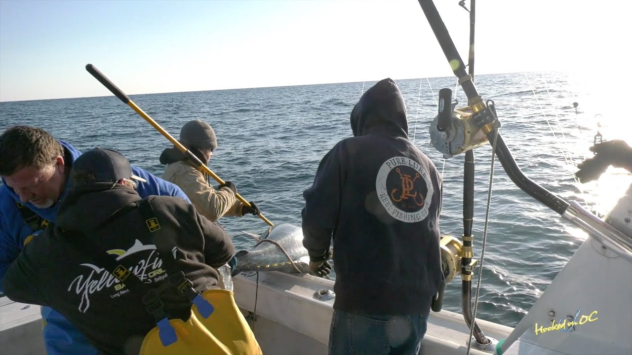 'Hooked On OC' - Episode #420  - 'Bluefin on the High Seas'