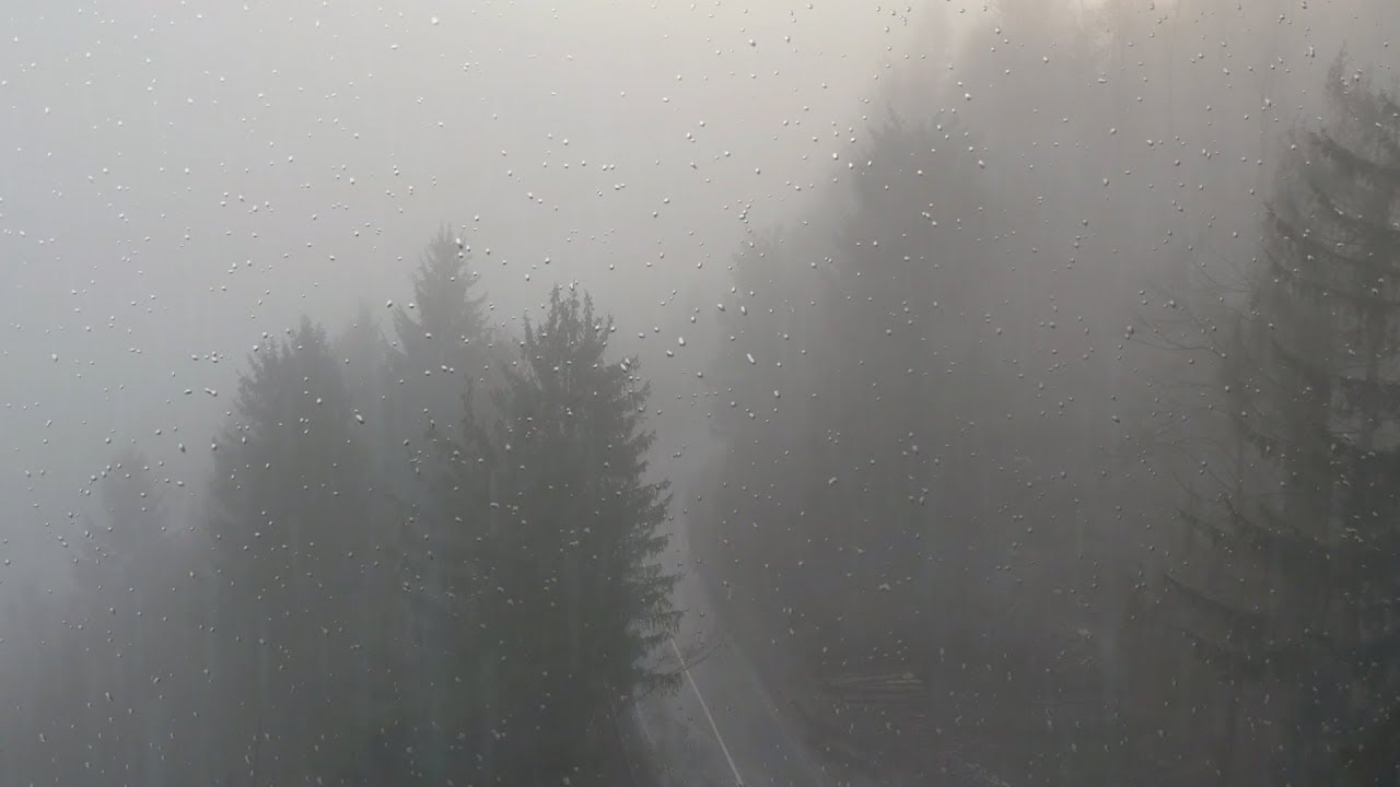 🎧 Rain Sounds over Misty Forest | Ambient Noise Help Me Sleep, @Ultizzz day#64