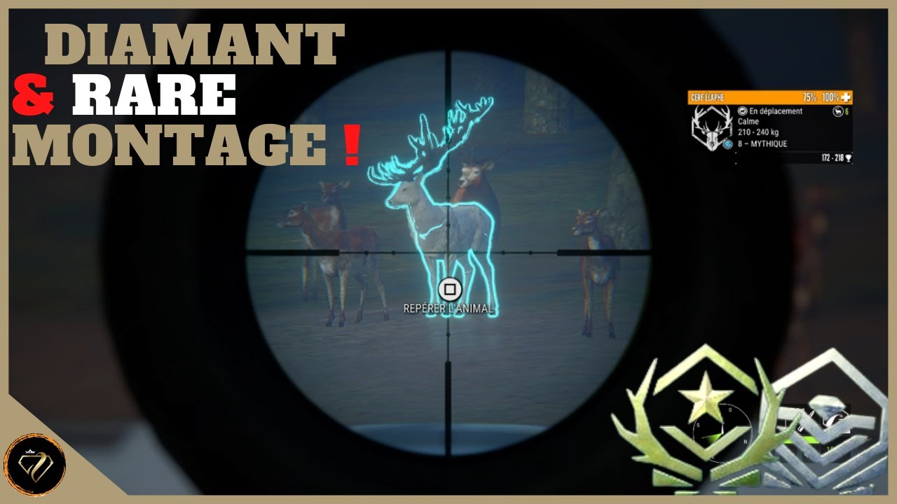 Diamant & Rare Compilation Great one Grind Cerf élaphe Cuatro Colinas |Thehunter call of the wild Fr