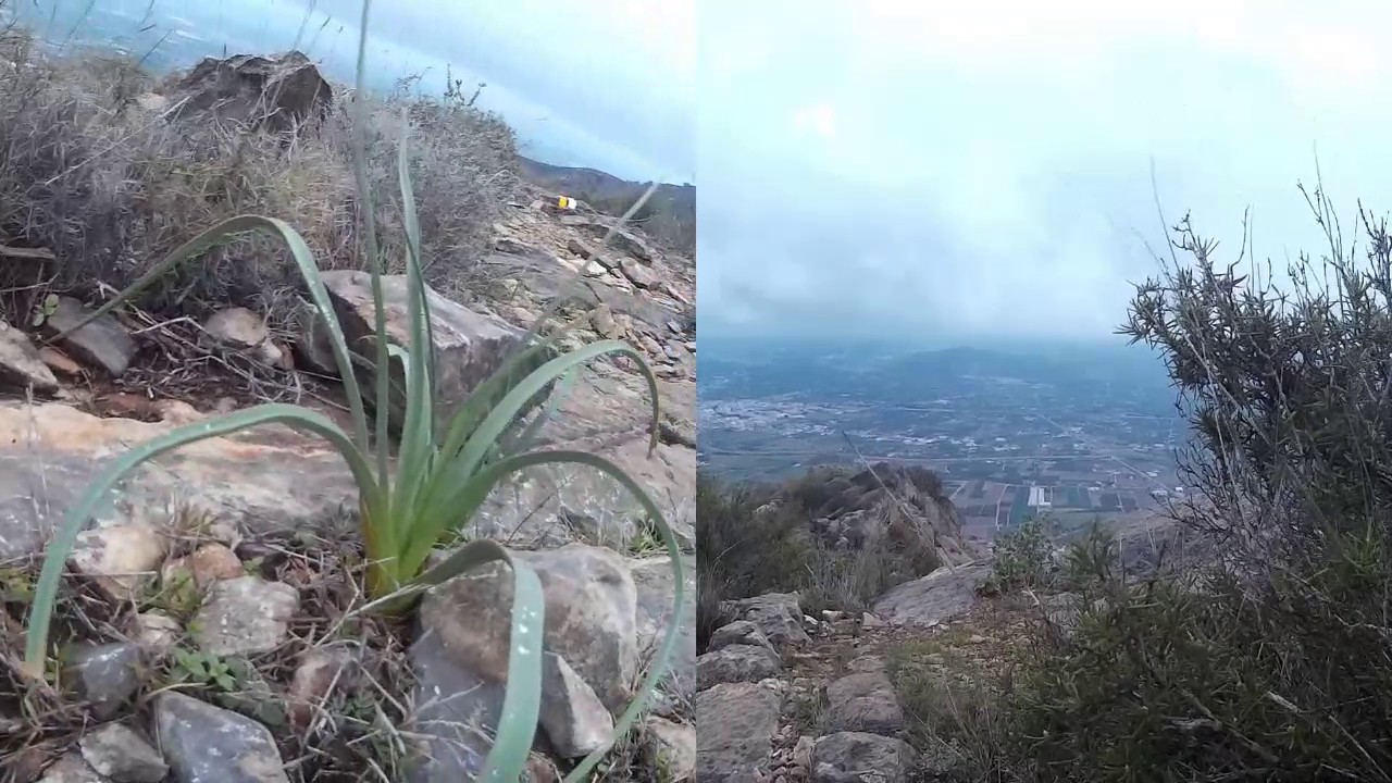 Paseo por la sierra de Orihuela