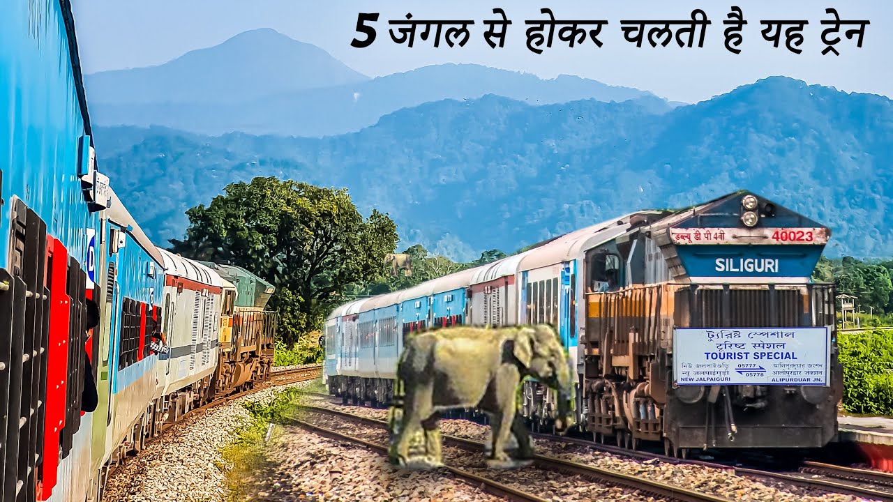 NJP to Alipurduar in Tourist Special 