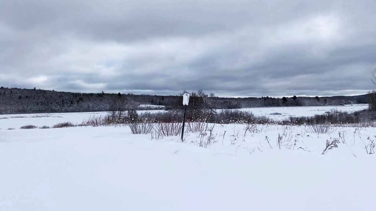 Magurrewock Marsh at Moosehorn Wildlife Refuge (Winter: Grey Sky Edition)