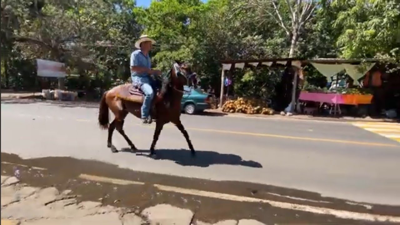 Buscando carne en #caluco 