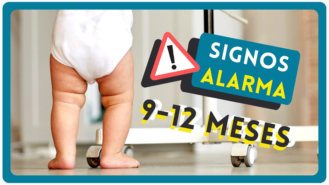 DESARROLLO 9 a 12 meses ¿Qué es normal a los 9 10 11 y 12 meses? Tu bebé mes a mes