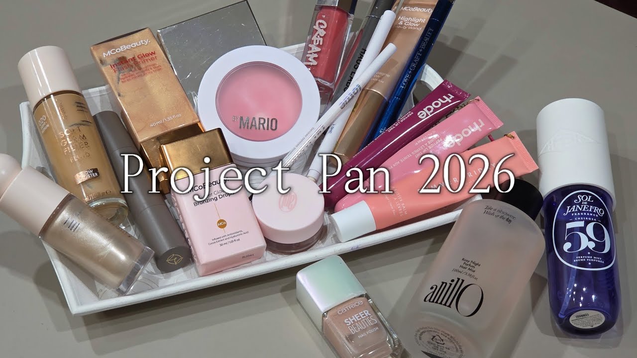Project Pan 2026 intro | початок проджект пен 2026