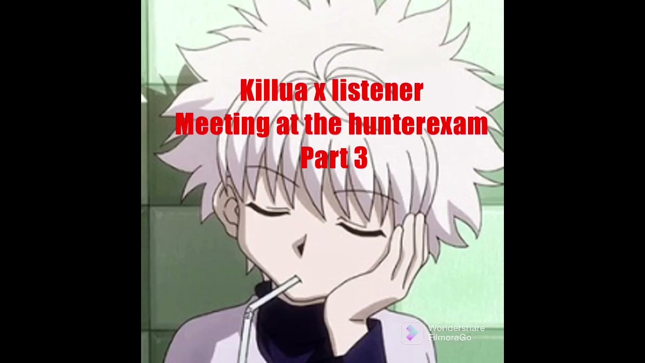 Killua x listener meeting at the the hunterexam part 3 *request*