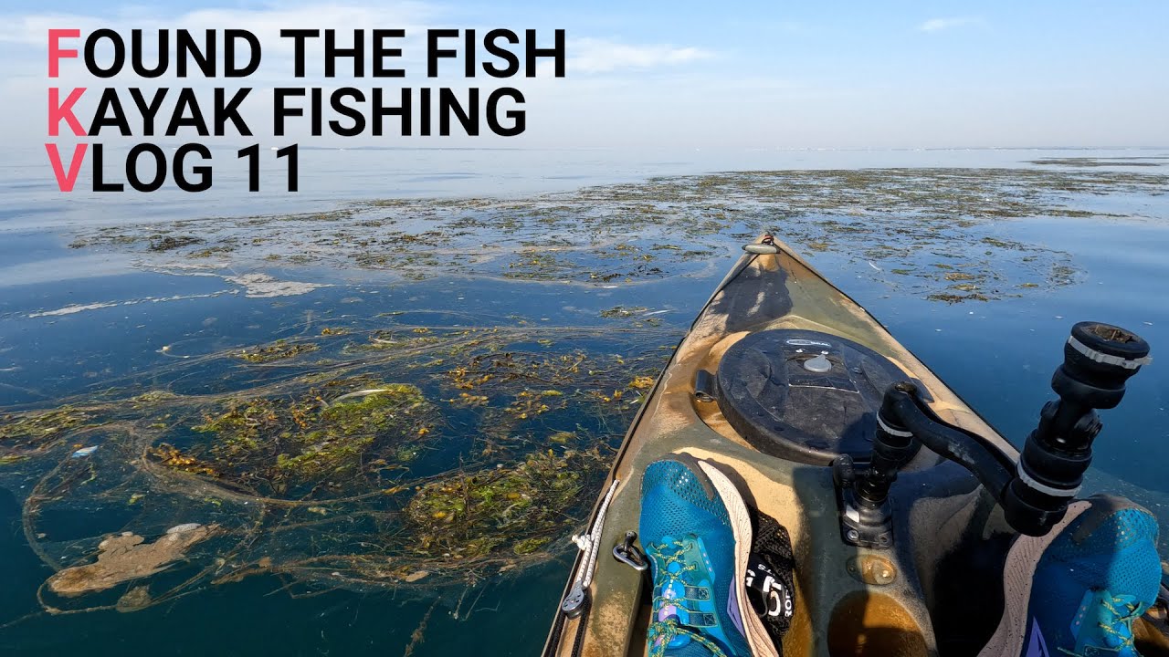 Found the Fish - Kayak Fishing UK - VLOG 11