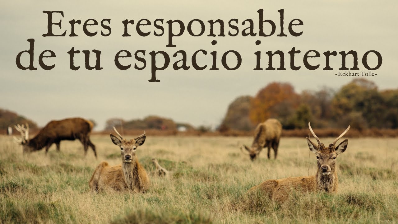 ERES RESPONSABLE DE TU ESPACIO INTERNO - Eckhart Tolle