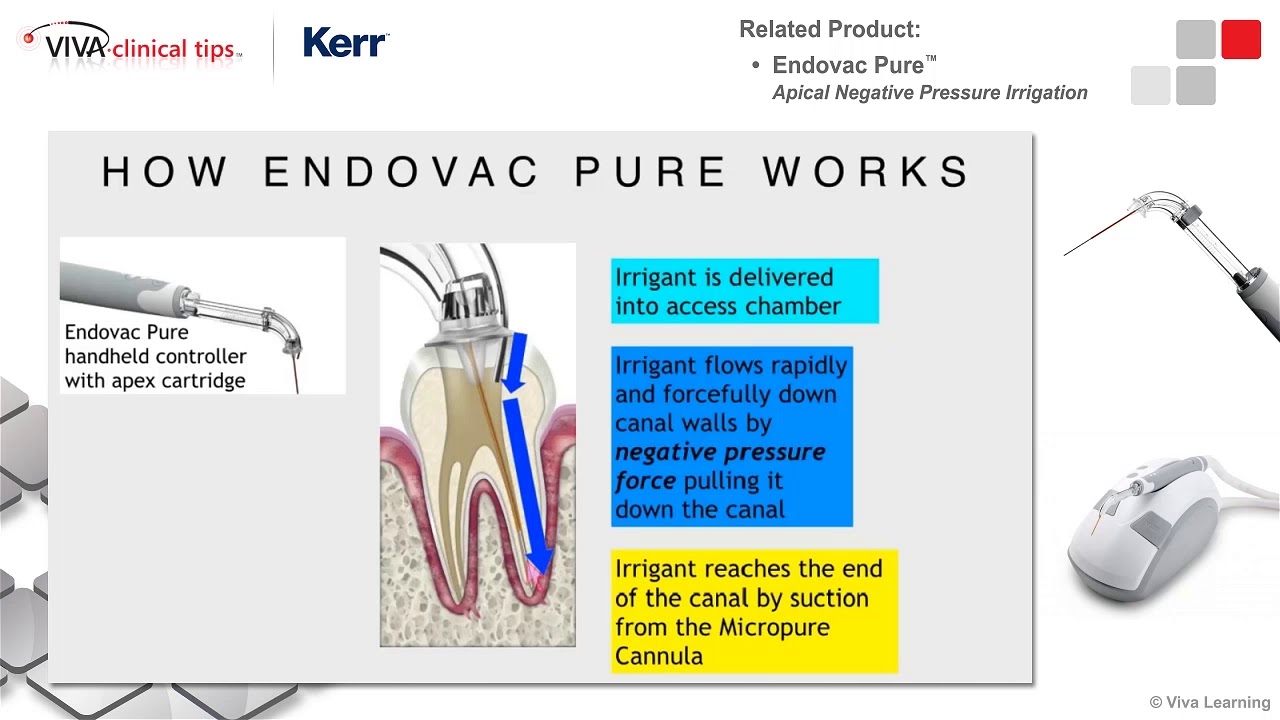 Dr. Gilbert on Endovac Pure
