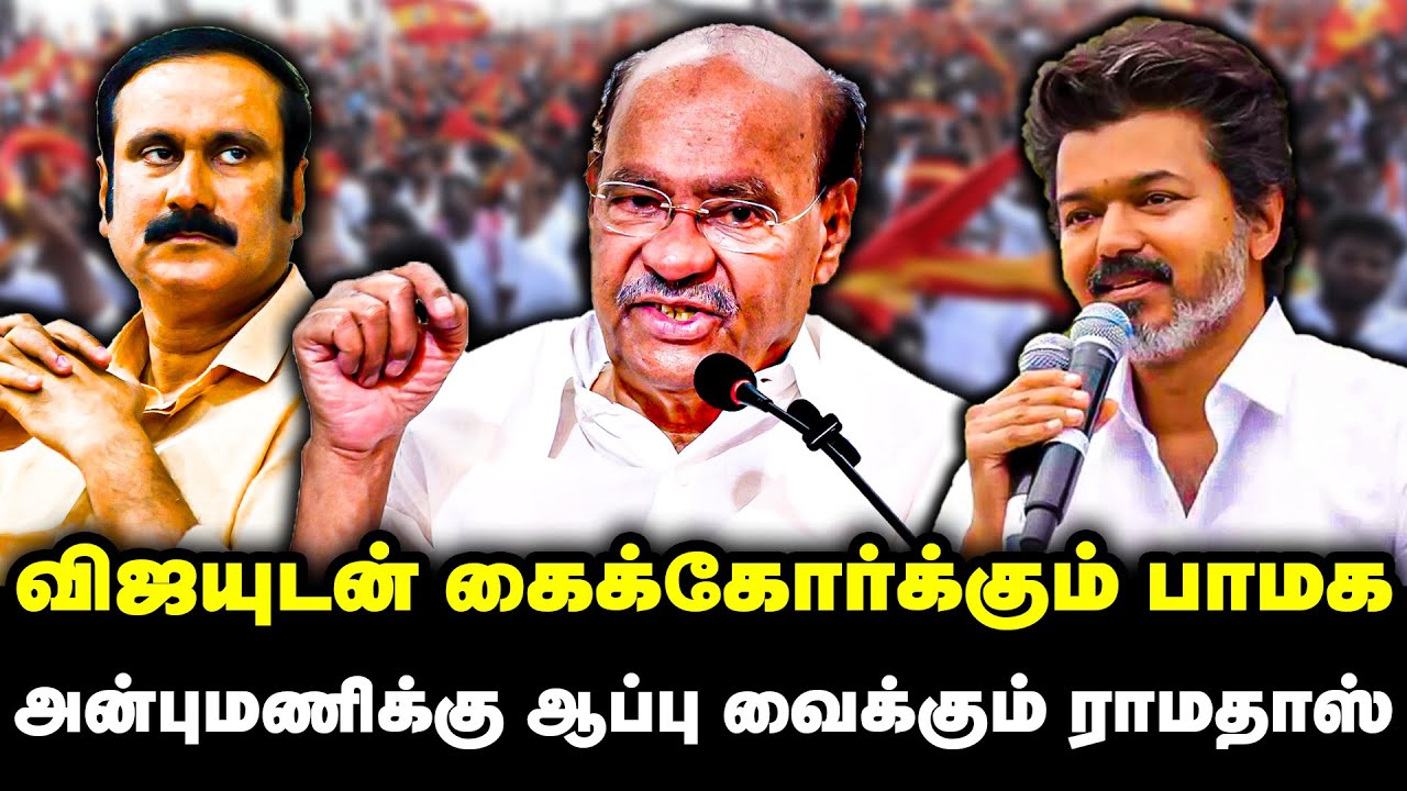 விஜயுடன் கைக்கோர்க்கும் பாமக  | அன்புமணிக்கு ஆப்பு வைக்கும் ராமதாஸ்  | Ramadoss | TVK Vijay