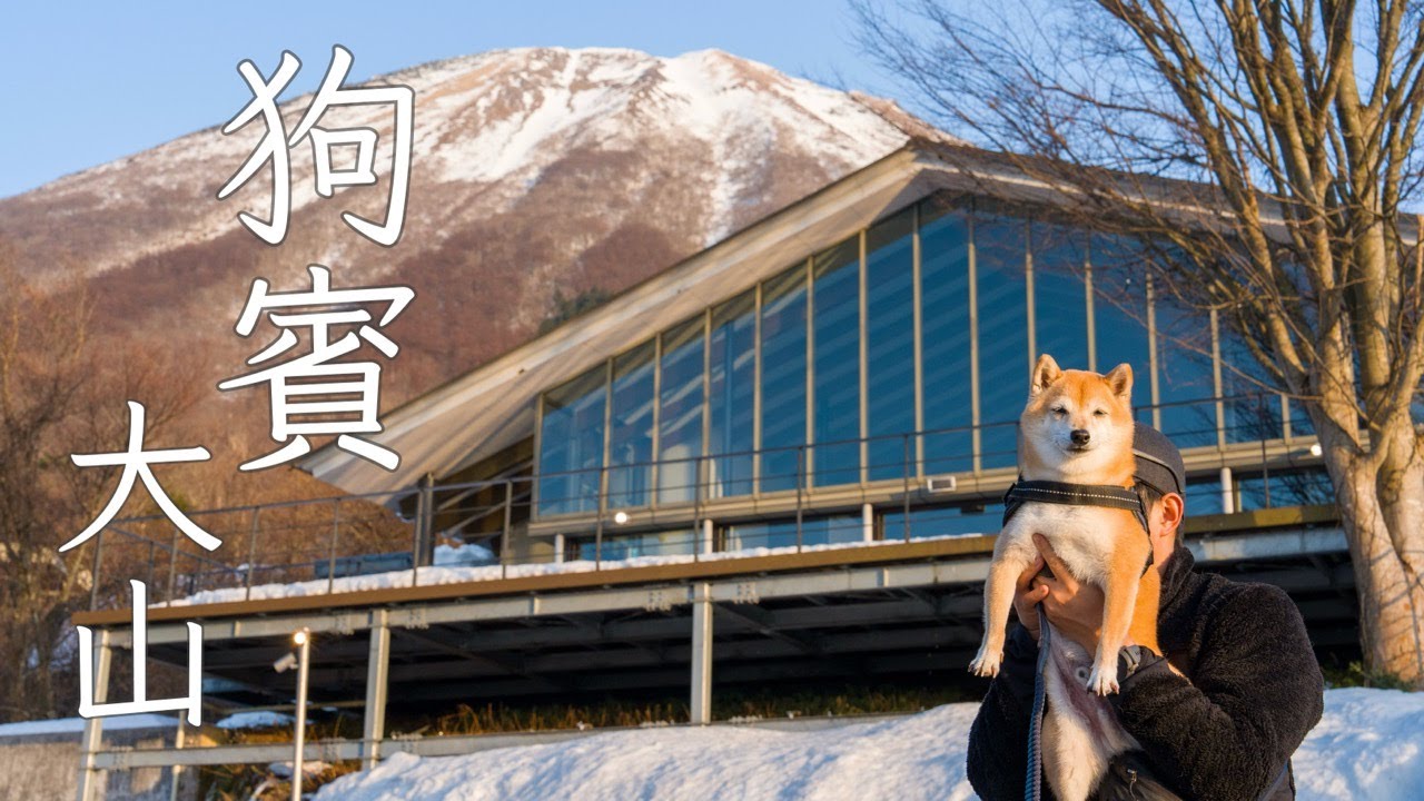 【犬連れ旅行】憧れの狗賓大山でお泊まり｜冬の鳥取旅