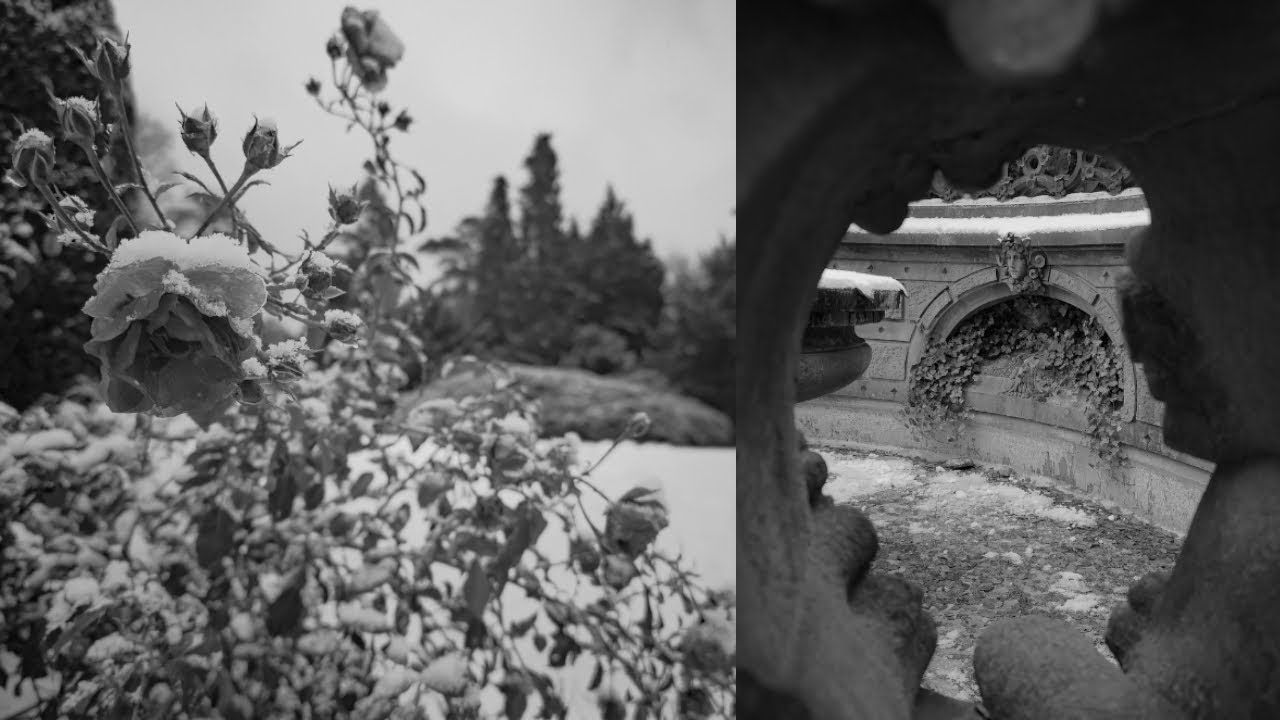 First snow [walking vlog]
